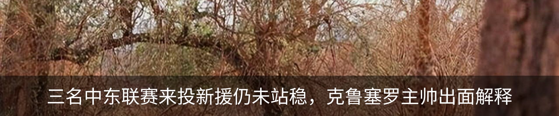 资讯中心